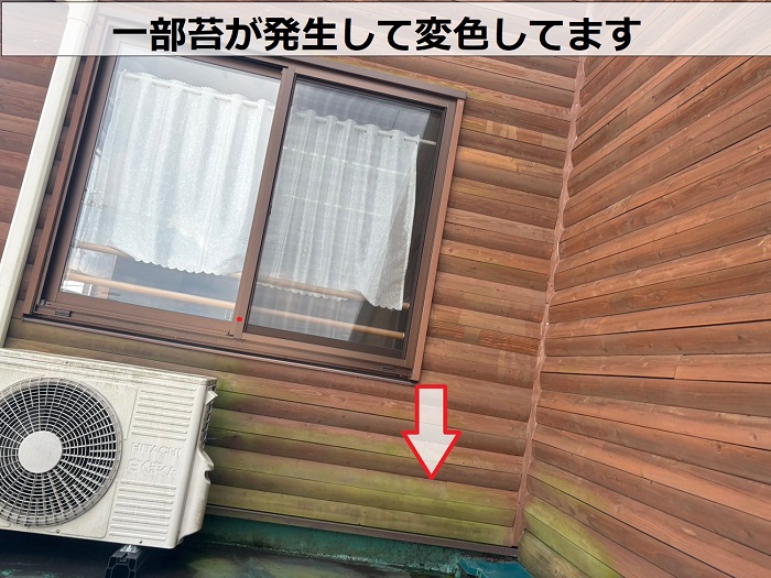 ログハウス造の外壁に苔