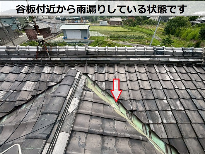 雨漏りしている谷板