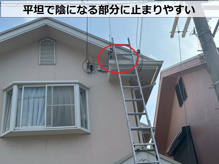 平坦で陰になりやすい部分