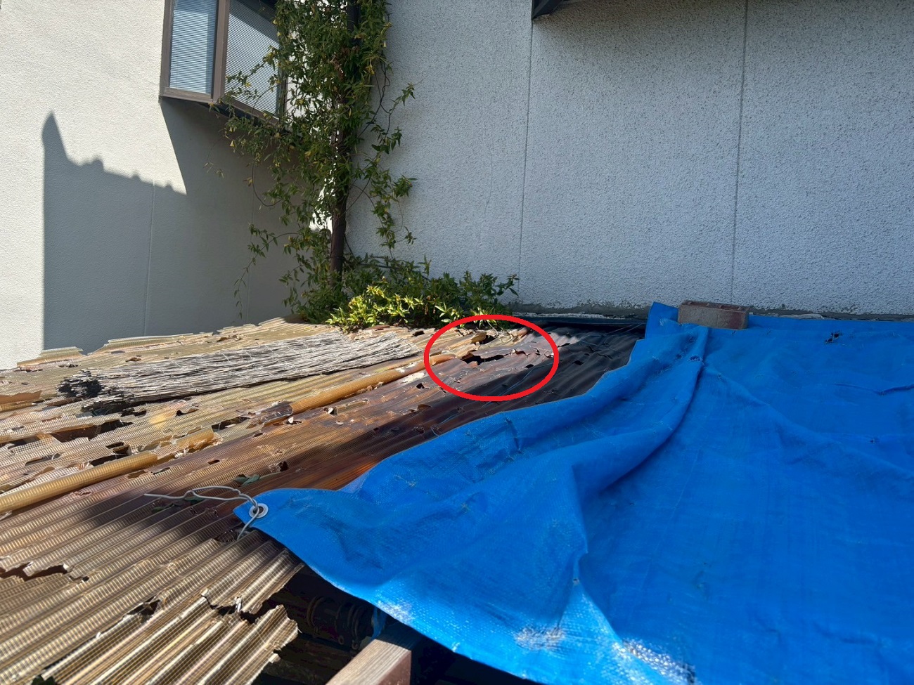 物置屋根に穴が空いている様子