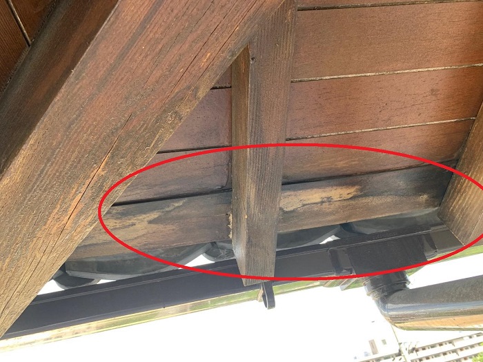 三田市での雨漏り調査で軒裏が腐食しているのを発見