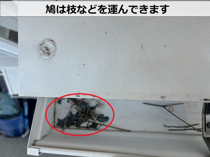 鳩が運んできた枝