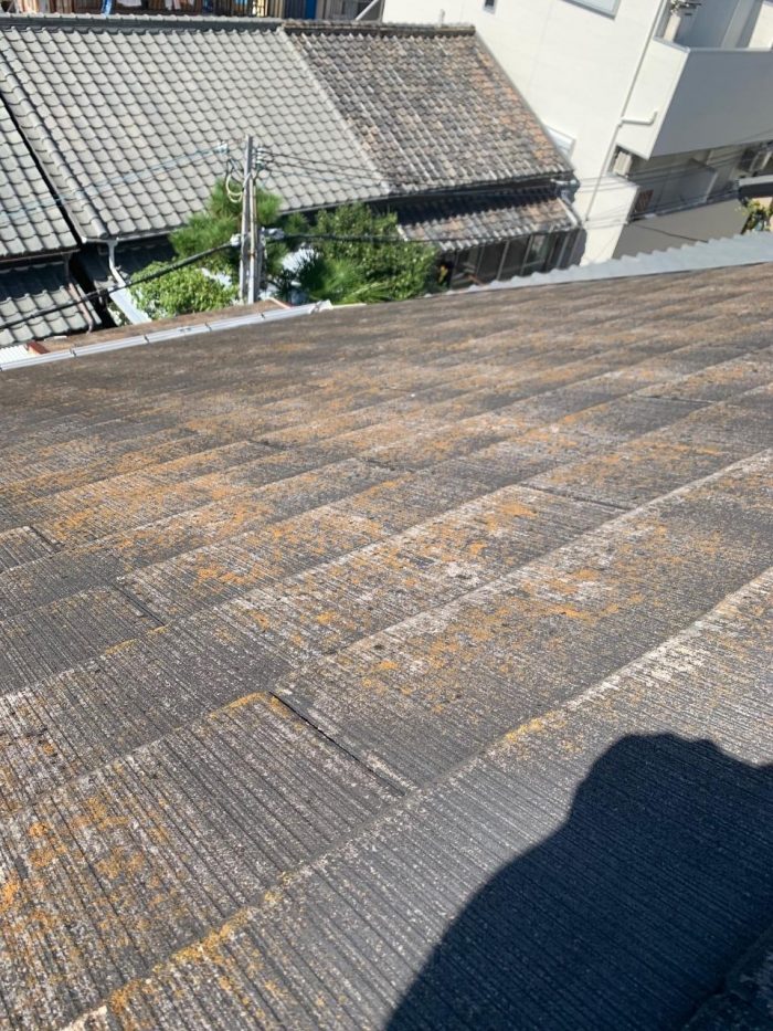 苔が繁殖しているスレート屋根