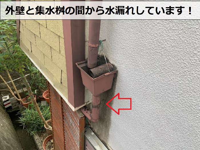 外壁と集水桝の間から水漏れしている様子