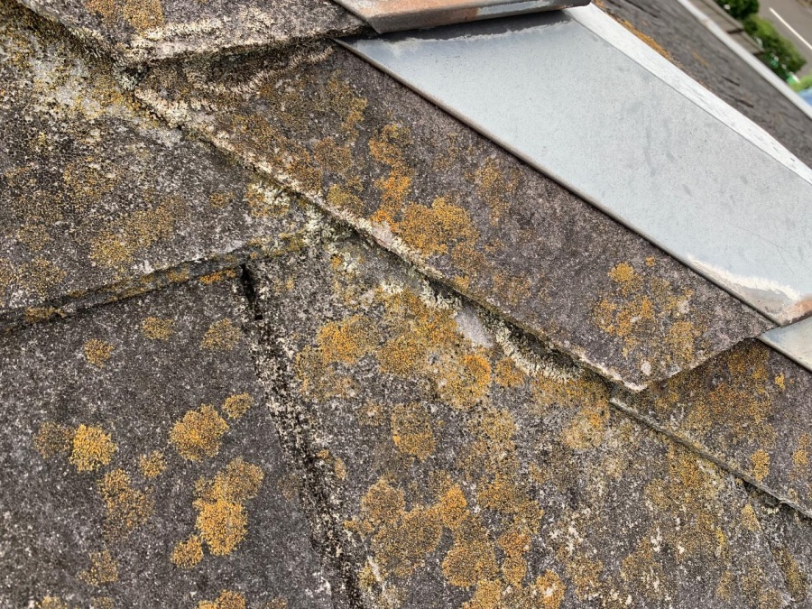 苔が繁殖しているスレート屋根