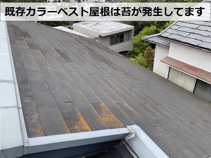 既存の屋根に苔が発生している様子
