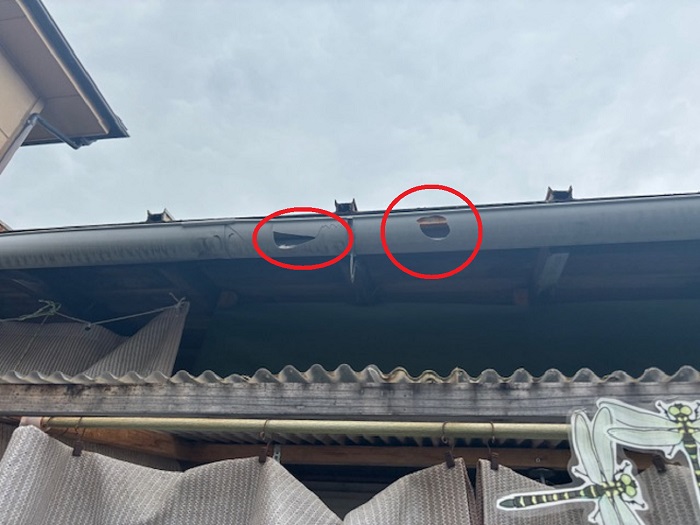 火災保険申請をするために雹被害にあった雨樋を調査している様子