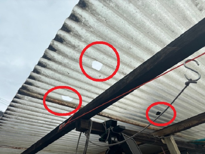 雹被害で破損した波板が割れている様子