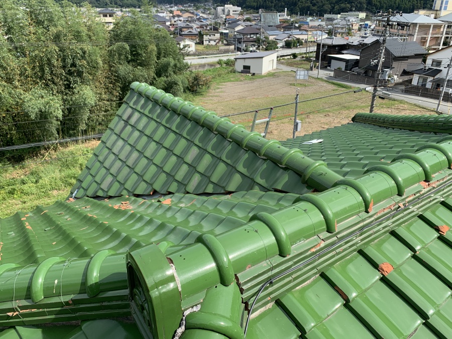 瓦屋根に上がってきた様子