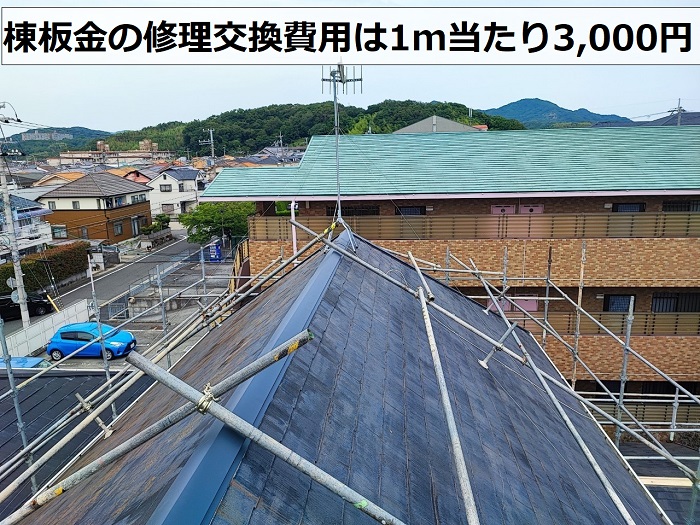 棟板金の修理費用を紹介している様子