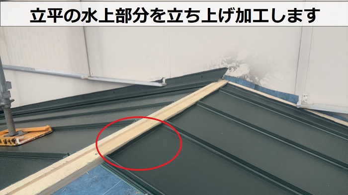 立平の水上を立ち上げ