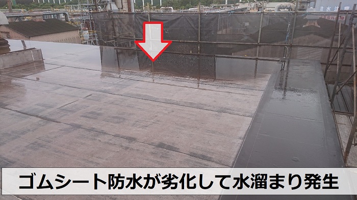 陸屋根防水のゴムシート防水が劣化して水溜まり発生