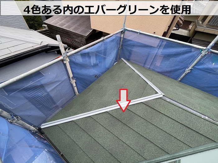 ディプロマットスターのエバーグリーン