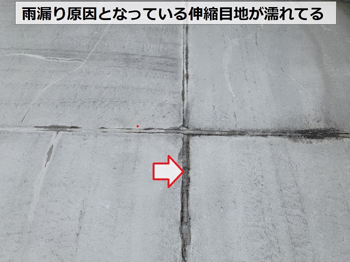 雨漏りの原因となっている伸縮目地が濡れている様子