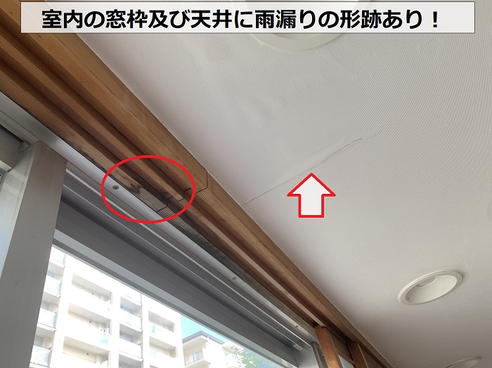 室内の天井及び窓枠に雨漏りの形跡あり