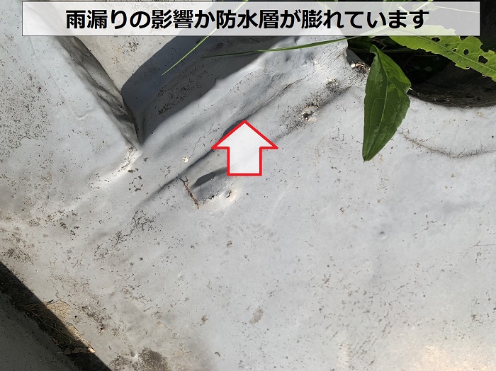 雨漏りの影響か防水層が膨れている様子