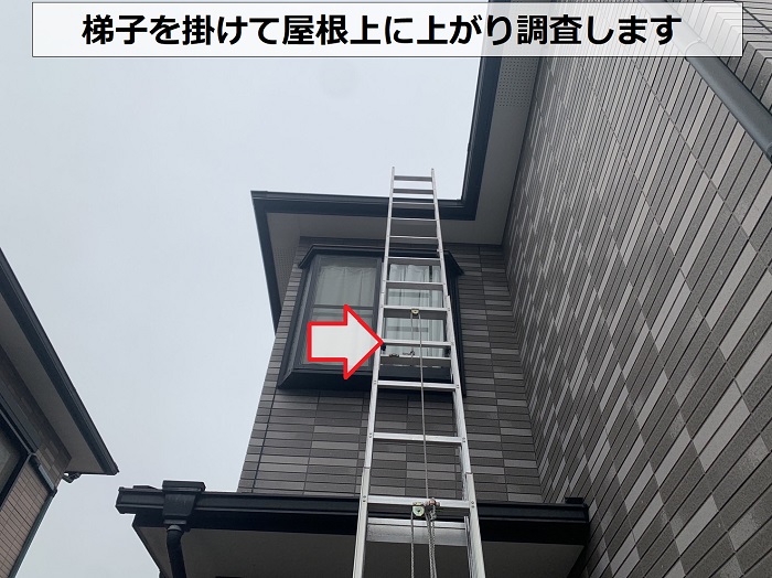 無料調査で屋根上に梯子を掛けている様子