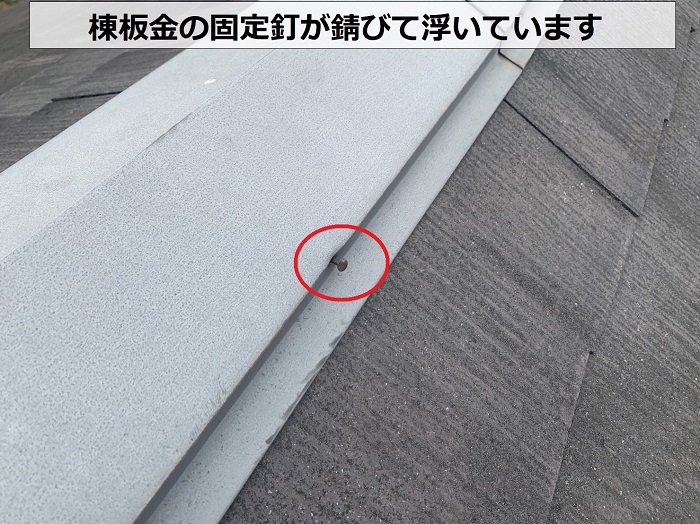 棟板金の固定釘が錆びて浮いています