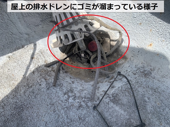 マンション屋上の排水ドレンにゴミが詰まっている様子