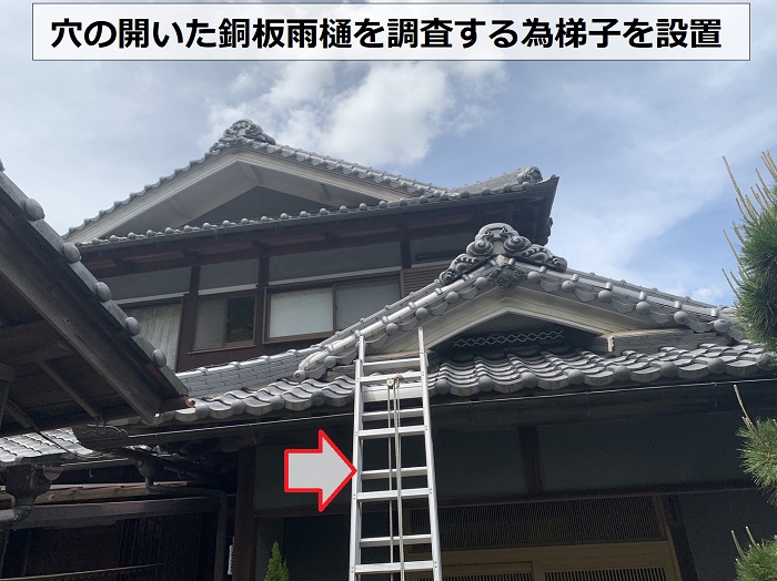 穴の開いた銅板雨樋を点検するために梯子を掛けた様子