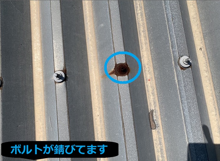 折板屋根のボルトが錆びている様子