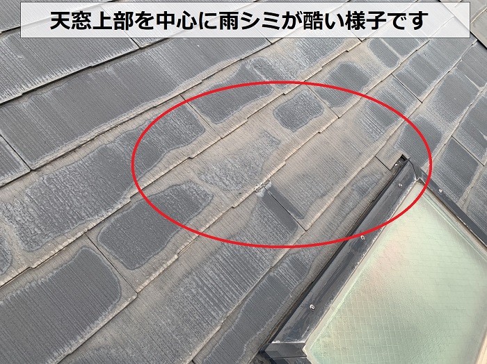 天窓上部を中心に雨シミが酷い様子