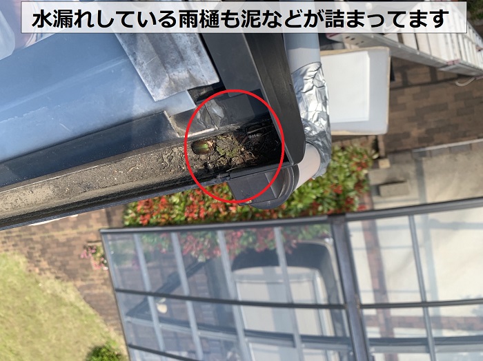 水漏れしている雨樋は泥などが詰まっている様子