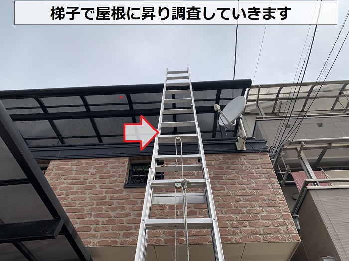 モニエル瓦屋根の調査を行うために梯子を掛けている様子