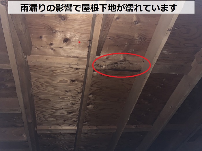雨漏りの影響で屋根下地が濡れている様子