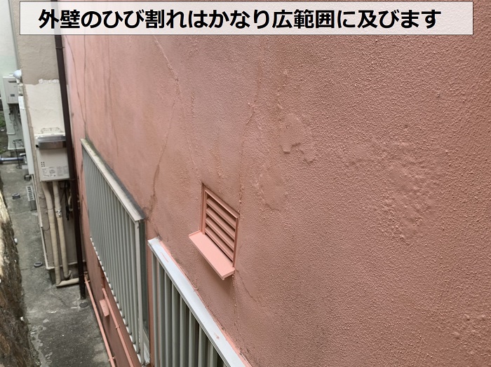 外壁のひび割れが広範囲に及んでいる様子