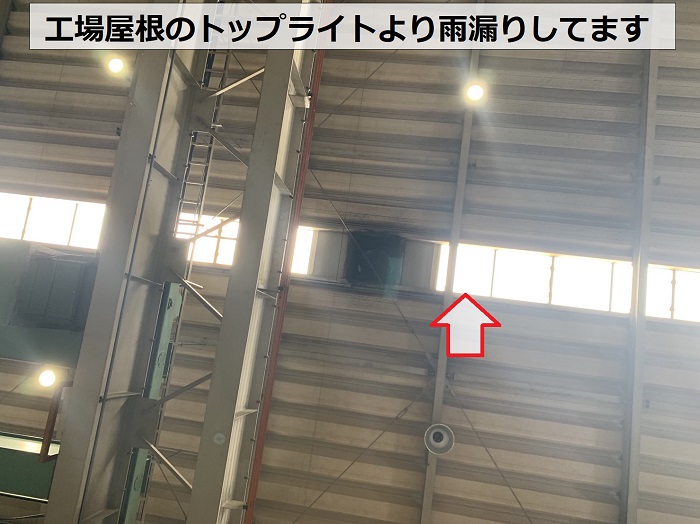 工場屋根のトップライトより雨漏りしている様子