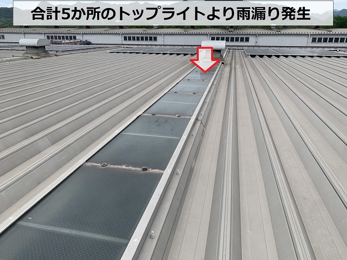 工場屋根の雨漏りしているトップライトの様子