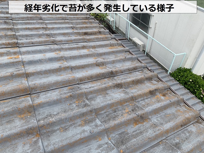 積水瓦屋根に苔が多く発生している様子