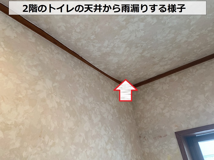 瓦屋根の谷板からトイレの天井へ雨漏りしている様子