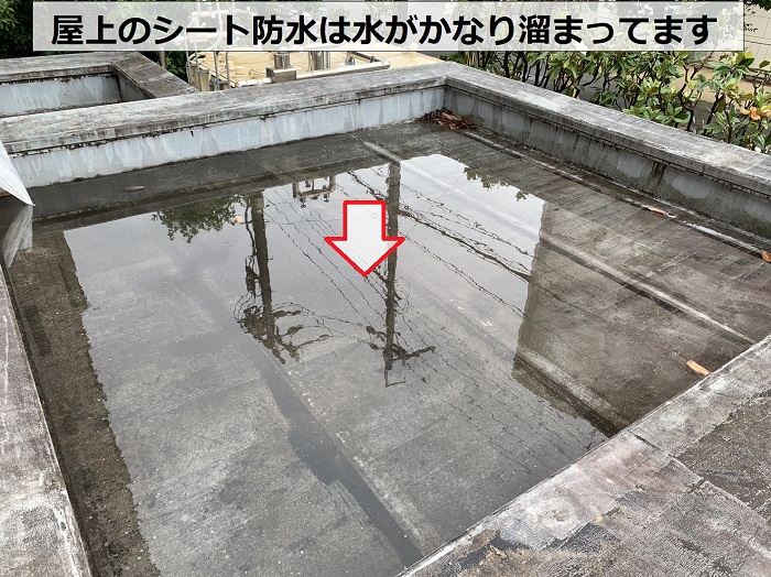 商業施設の屋上防水に水が溜まっている様子