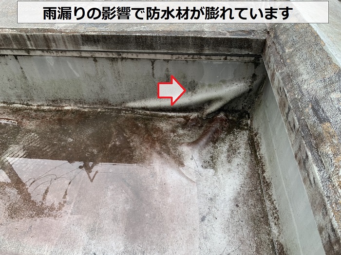 雨漏りの影響で防水材が膨れている様子