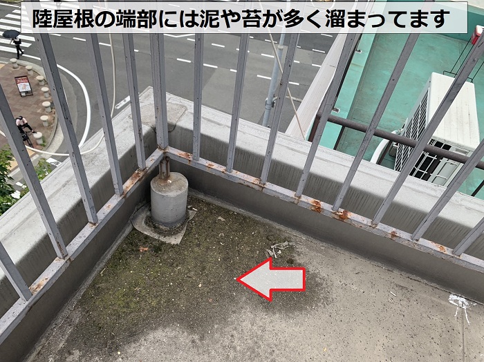 陸屋根の端部に泥や苔が溜まっている様子