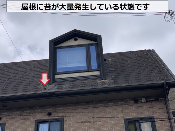 スレート屋根に苔が大量発生している様子