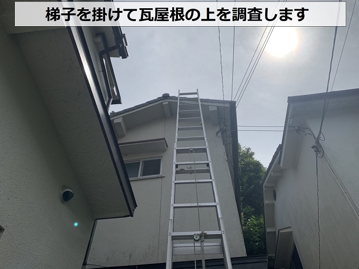 梯子を掛けて瓦屋根の上を調査していきます
