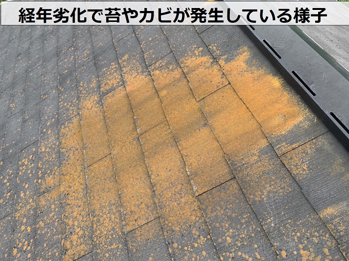 平板スレート屋根に苔やカビが発生している様子