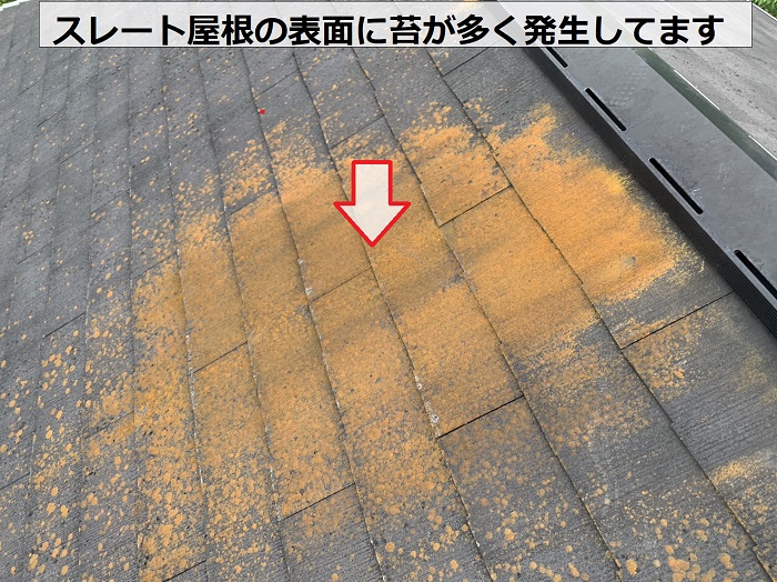 外装リフォームの無料見積りでスレート屋根に発生する苔を調査