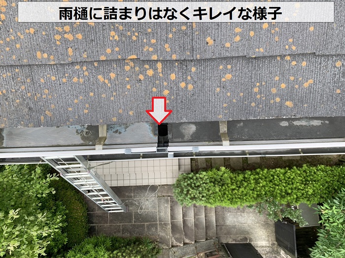 外装リフォームの無料見積りで雨樋の中を調査