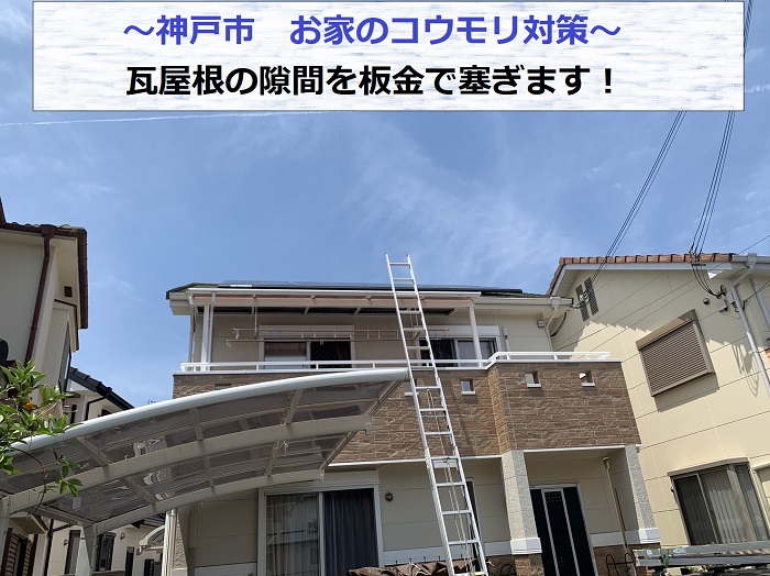 神戸市でコウモリ対策を行う現場の様子