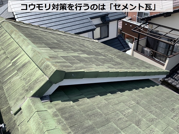 コウモリ対策を行うセメント瓦の様子