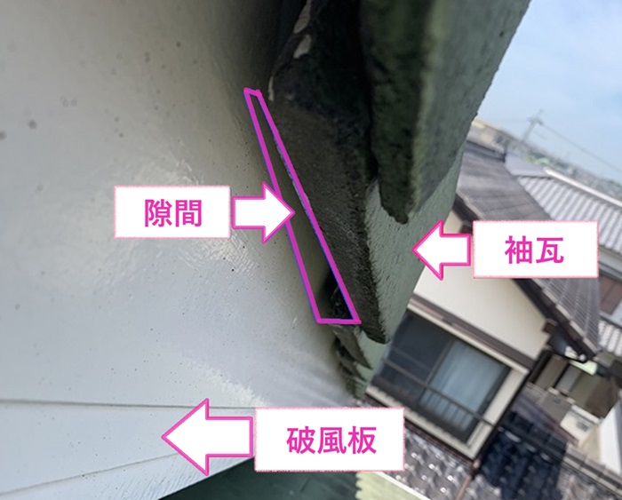 コウモリ侵入防止工事で袖瓦と破風板の隙間からコウモリが侵入している様子