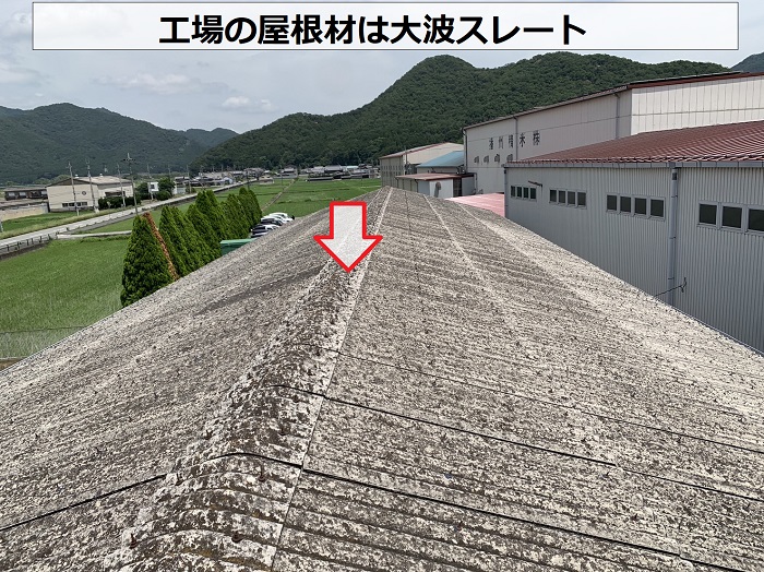 リフォーム相談を頂いた工場の屋根の様子