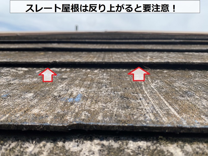 スレート屋根は反り上がると台風で飛散しやすくなるので要注意