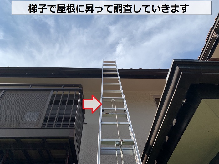 棟瓦の調査をするために梯子で屋根に昇っている様子