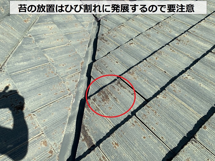 モニエル瓦屋根に苔が発生しひび割れている様子