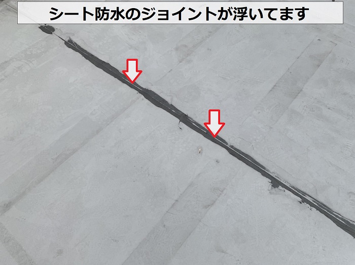 屋上のシート防水のジョイントが浮いている様子
